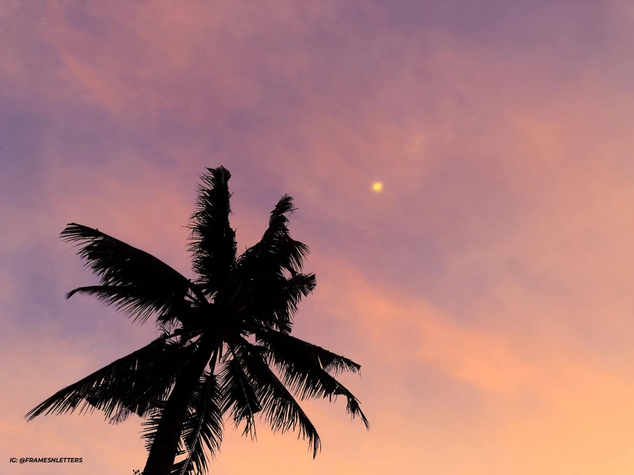 pink cotton candy sunset skies featuring the moon
